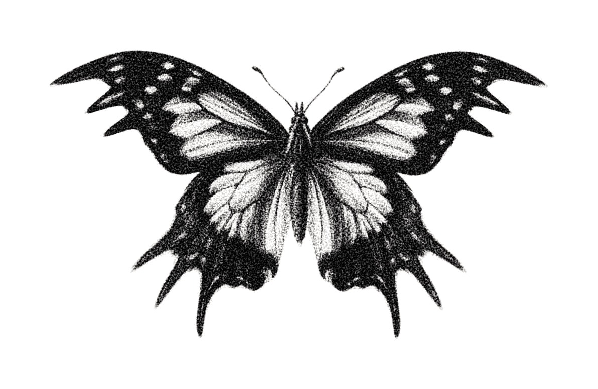 Flash-Design: Schmetterling mit ausgebreiteten Flügeln, gezeichnet von Florian Rudolph in Berlin
