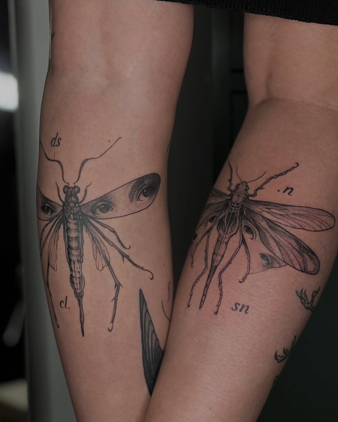 Surreale Insekten-Tattoos an zwei Unterarmen: Libellen mit Augen auf den Flügeln – gestochen von Florian Rudolph in Berlin