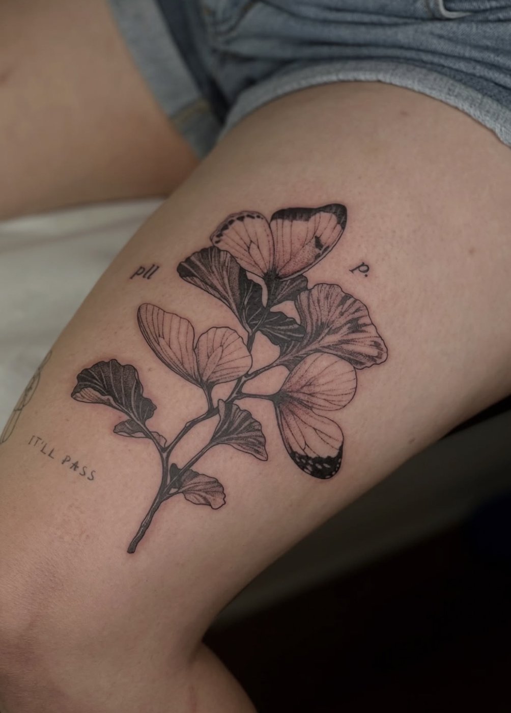 Botanical Tattoo mit Ginkgo-Zweig und Schmetterlingsflügeln am Oberschenkel, gestochen von Florian Rudolph in Berlin