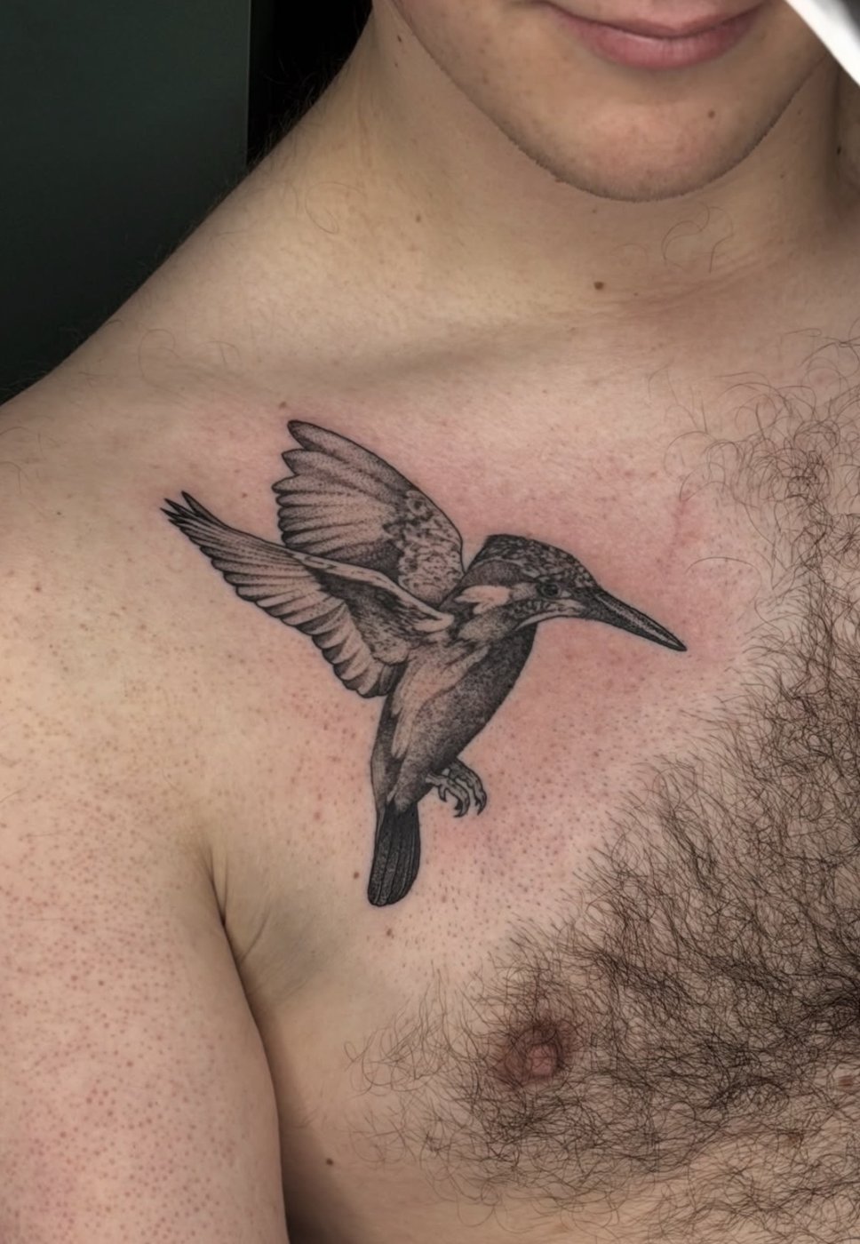 Eisvogel-Tattoo im Flug auf der Brust, feines Dotwork von Florian Rudolph in Berlin