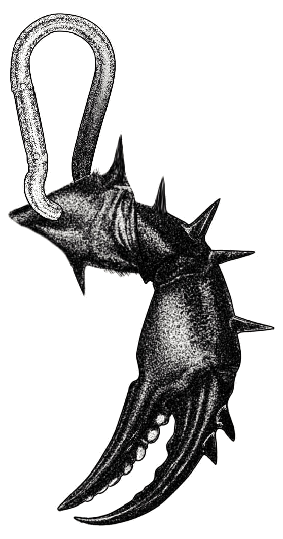 Flash-Design: Karabinerhaken mit bestachelter Kralle, gezeichnet von Florian Rudolph in Berlin