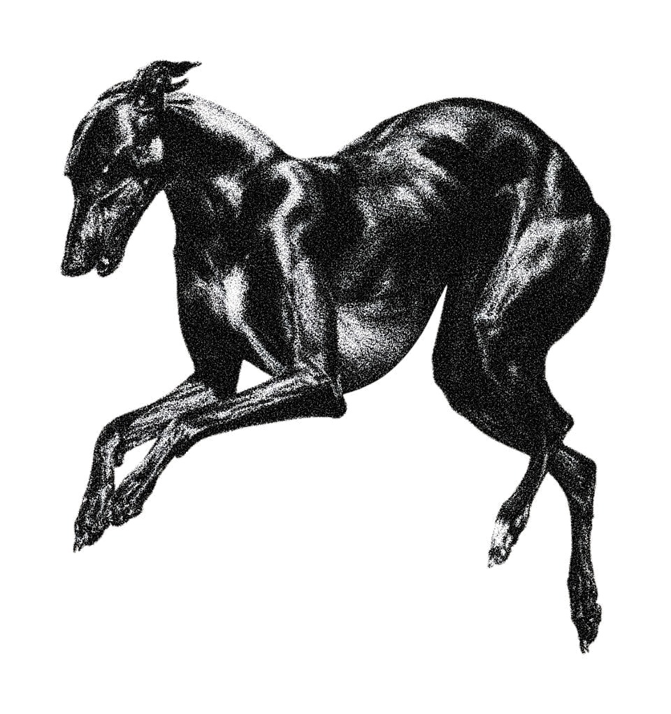 Flash-Design: Pferd in Bewegung, gezeichnet von Florian Rudolph in Berlin